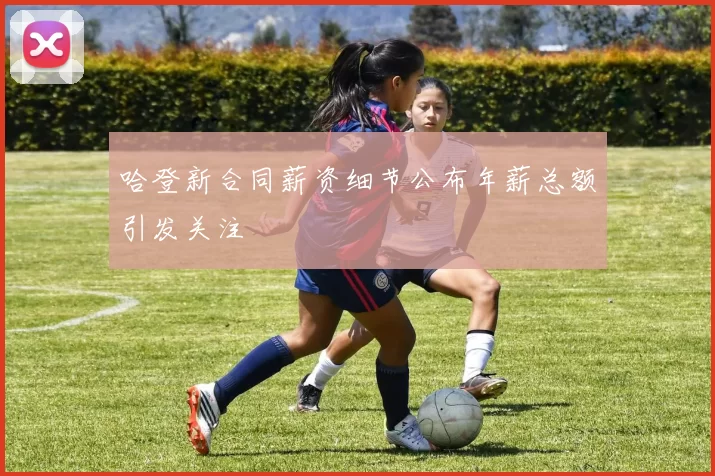 哈登新合同薪资细节公布年薪总额引发关注