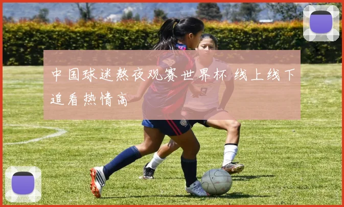 中国球迷熬夜观赛世界杯 线上线下追看热情高