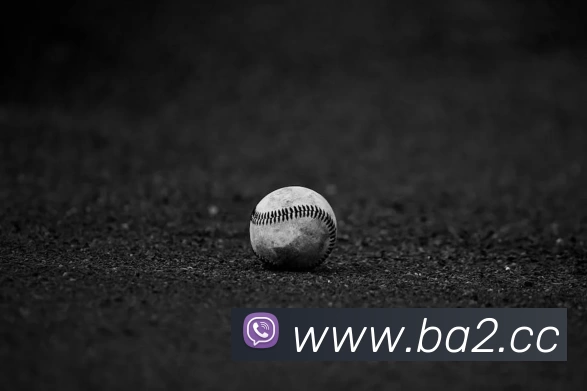 奇异果体育 - 官方网站平台生态图